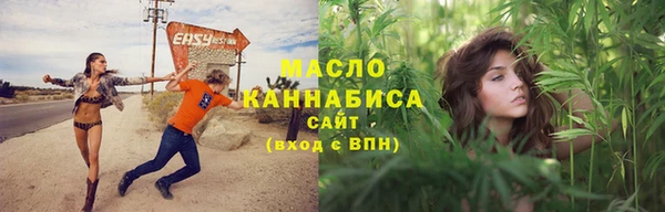 крисы Няндома