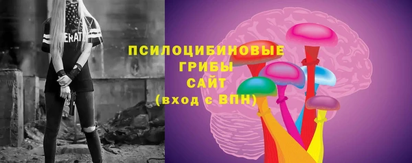 крисы Няндома