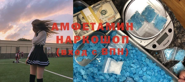 крисы Няндома