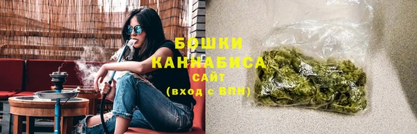крисы Няндома