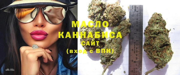 крисы Няндома