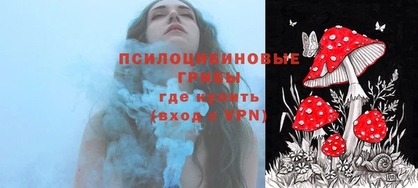 крисы Няндома
